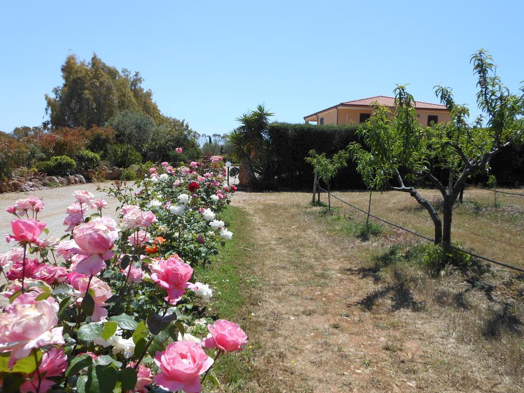 Bed And Breakfast Le Camelie Αλγκέρο Εξωτερικό φωτογραφία